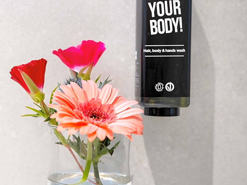 ibis Den Haag Scheveningen