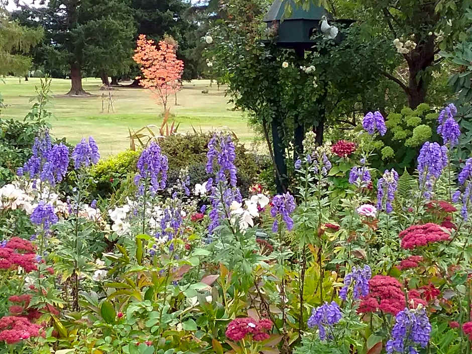 Marchmont Gardens