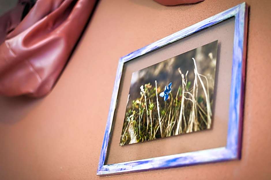 vaquero casa rural alquiler completo