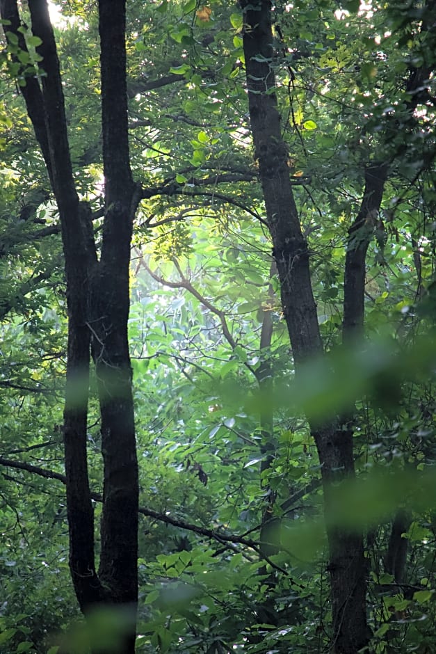 Polonezköy Country Club