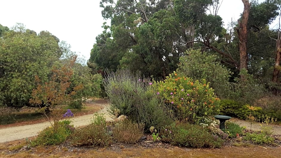 TorquayToongahra BnB