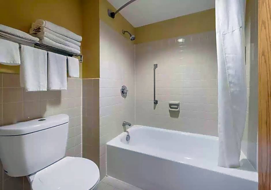 Quality Inn And Suites Rochester