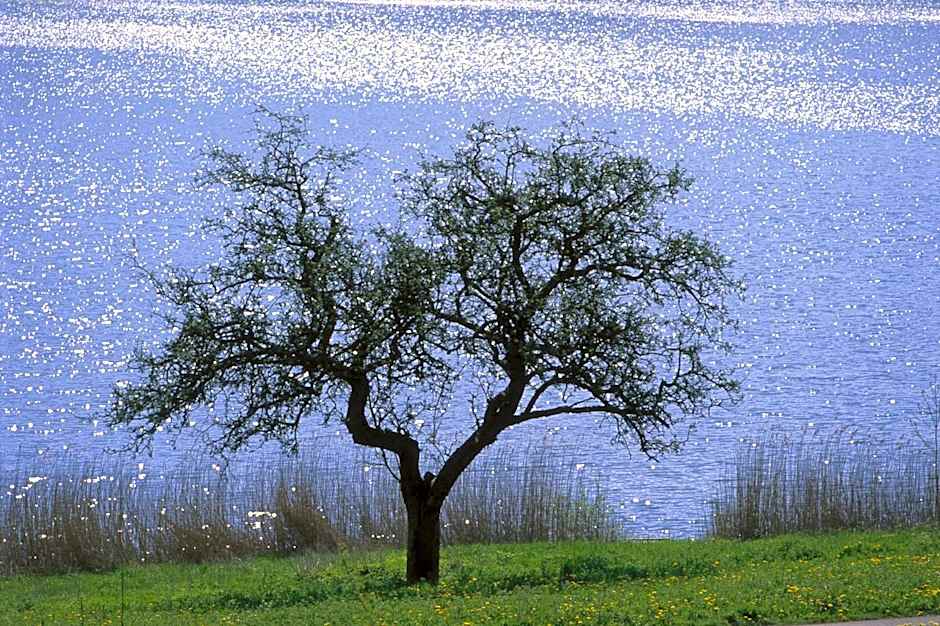 Ferienwohnung Landfein Schalkenmehren
