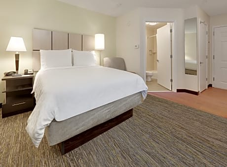 suite, 1 queen bed, accessible (mobility roll-in shower)
