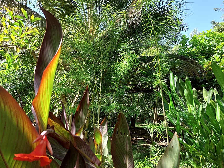 Hôtel La Belle Etoile