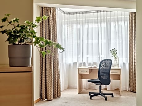 Studio Deluxe Apartment