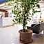 Hotel Hermes Budva