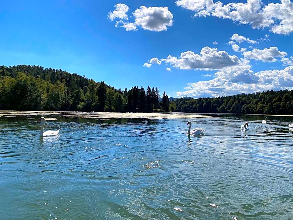 Boutique hotel ZBILJE