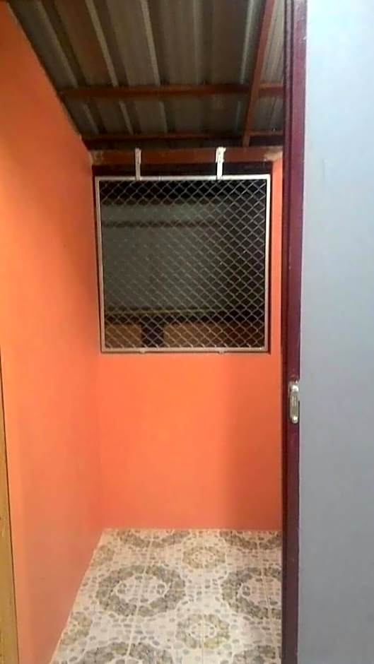 SiBamboo 2