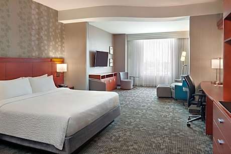 Studio Suite, 1 King, Sofa Bed, near Elevator