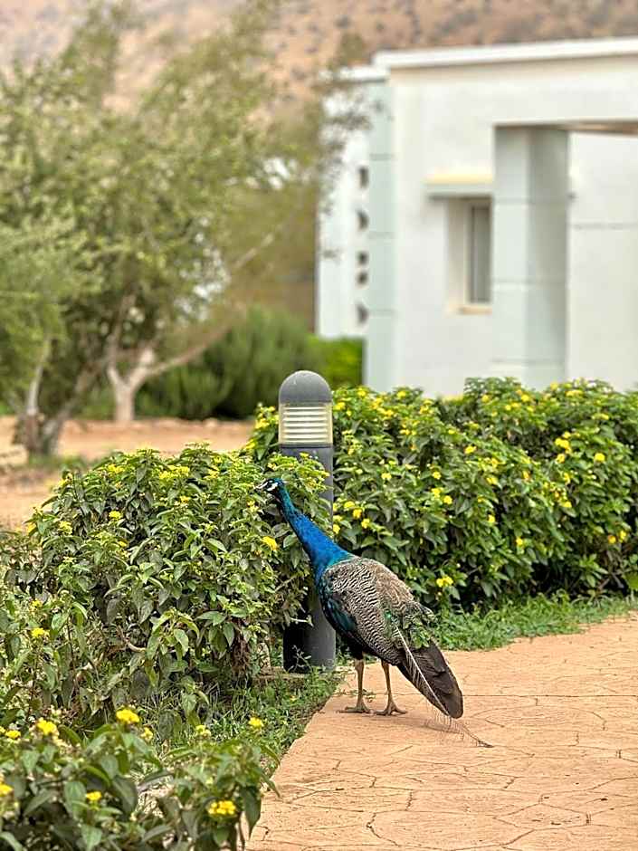 Lunja Village - Agadir