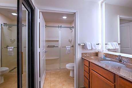 Studio Suite, 1 King Bed with Sofa bed (Hearing Accessible) (1 King Bed and 1 Double Sofa Bed)