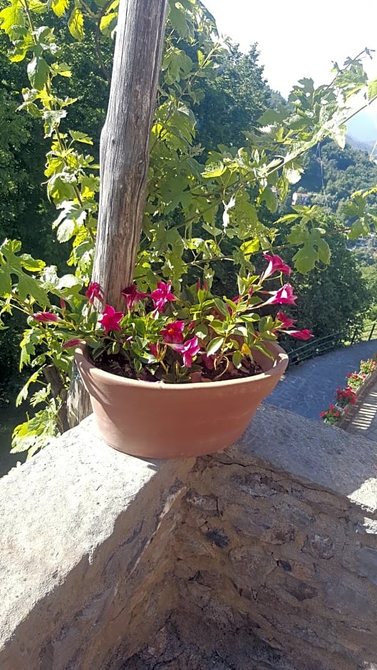La Locanda Del Podestà Cinque terre