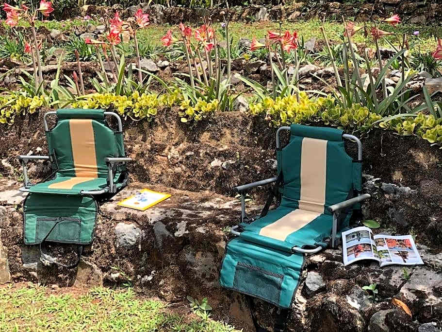 Mid-Century Modern Centrally Located Garden Oasis