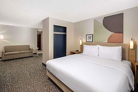 1 King Bed