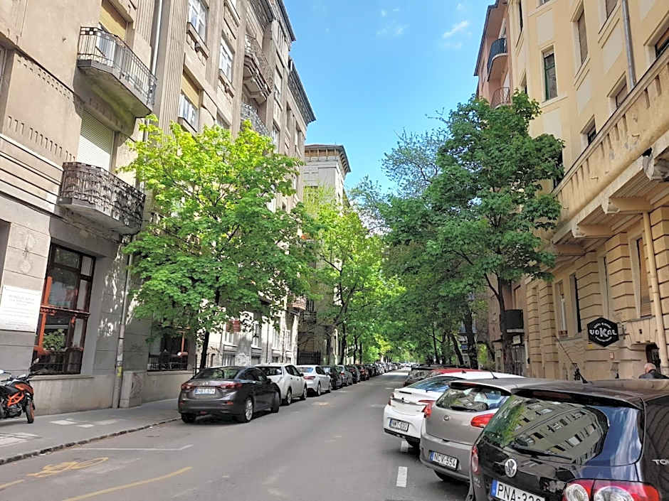 Stylish Homes Downtown Buda