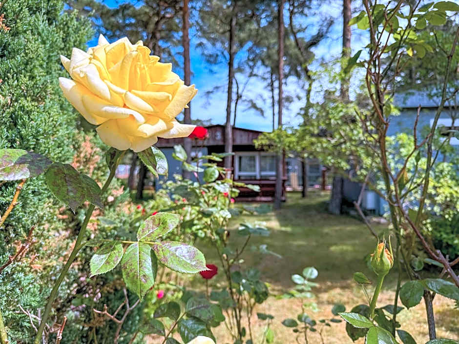 Dom Wypoczynkowy Słoneczna