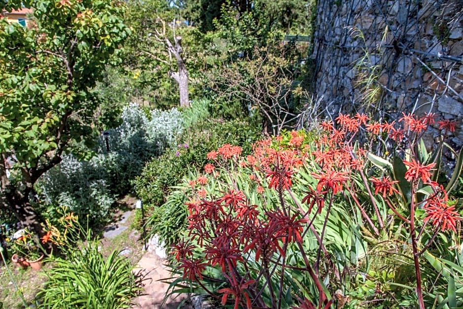 Pietrantica - Affittacamere con giardino NUOVA APERTURA a Trebiano -CITR
