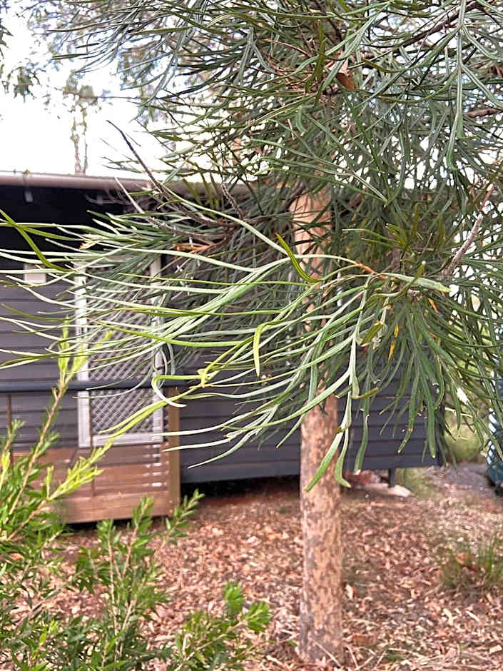 Redrock Retreat