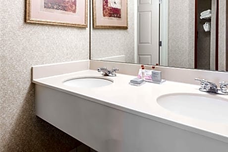 Deluxe One-Bedroom King Suite - Non Smoking