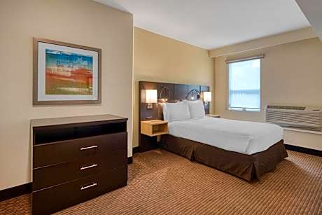 Suite - 1 Queen Bed, Nonsmoking, Executive Room, One Bedroom, Living Room