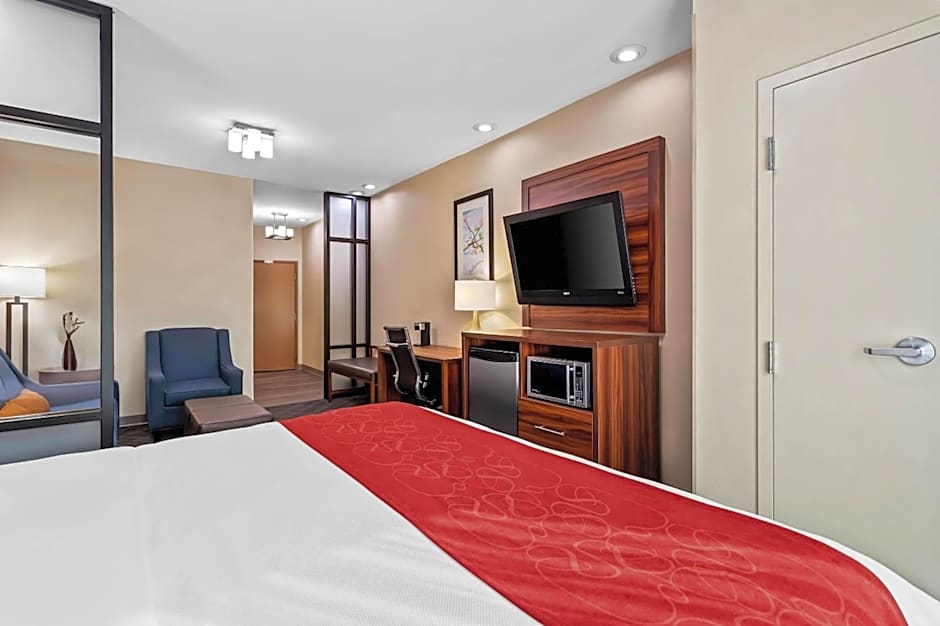 Comfort Suites Roswell North