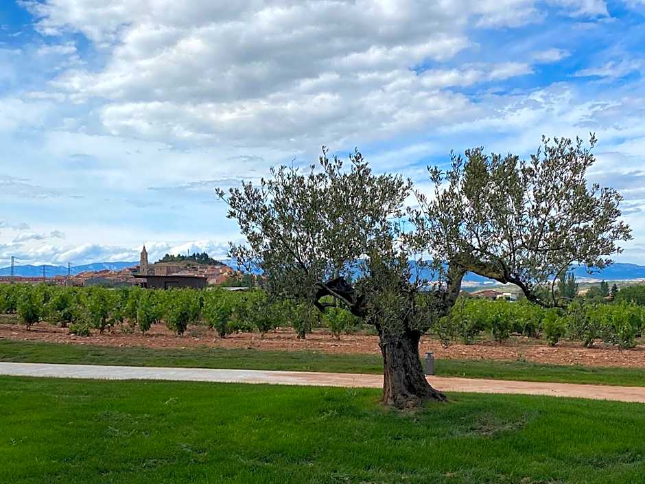 Hotel Bodega FyA - GRUPO PIÉROLA