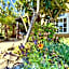Quinta do Mar - Country & Sea Village