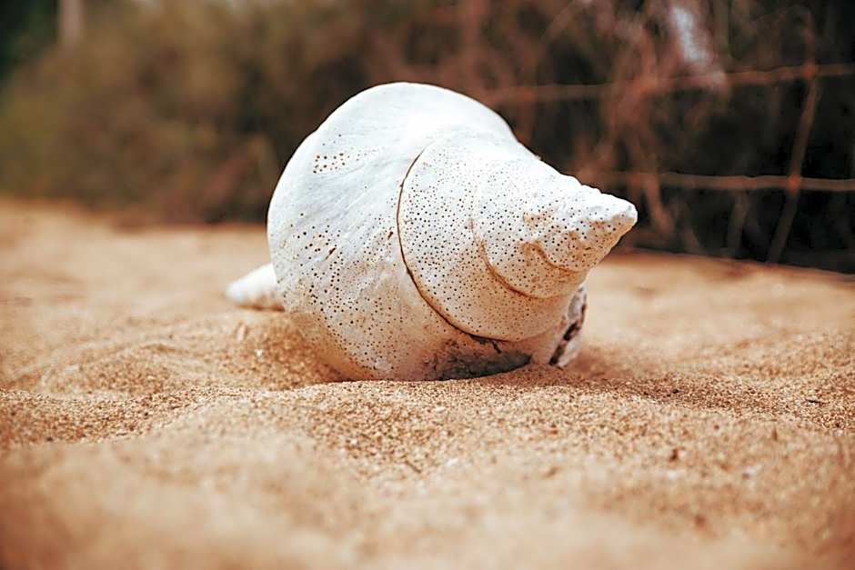 Mackerel Islands Resort