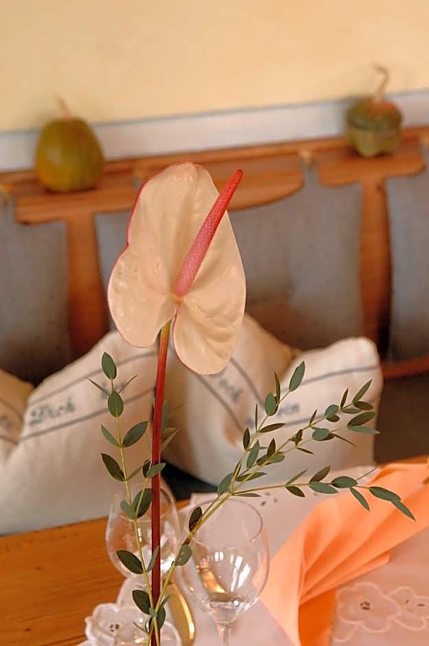 Apfelblüte bed & breakfast 8 km vom Bodensee