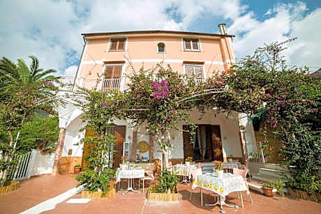 B&B Bouganville