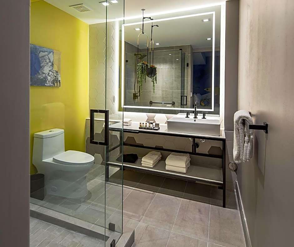 Hotel Indigo Miami Brickell By IHG