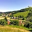 Hotel Grüner Baum mit Restaurant & Wellness