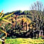 Brunnerton Lodge and Backpackers