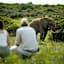 Gorah Elephant Camp