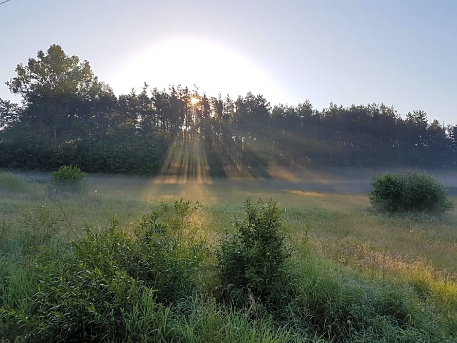 Domki Drewniane Przystań Kajaczek
