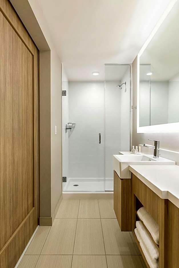SpringHill Suites by Marriott St. Paul Downtown