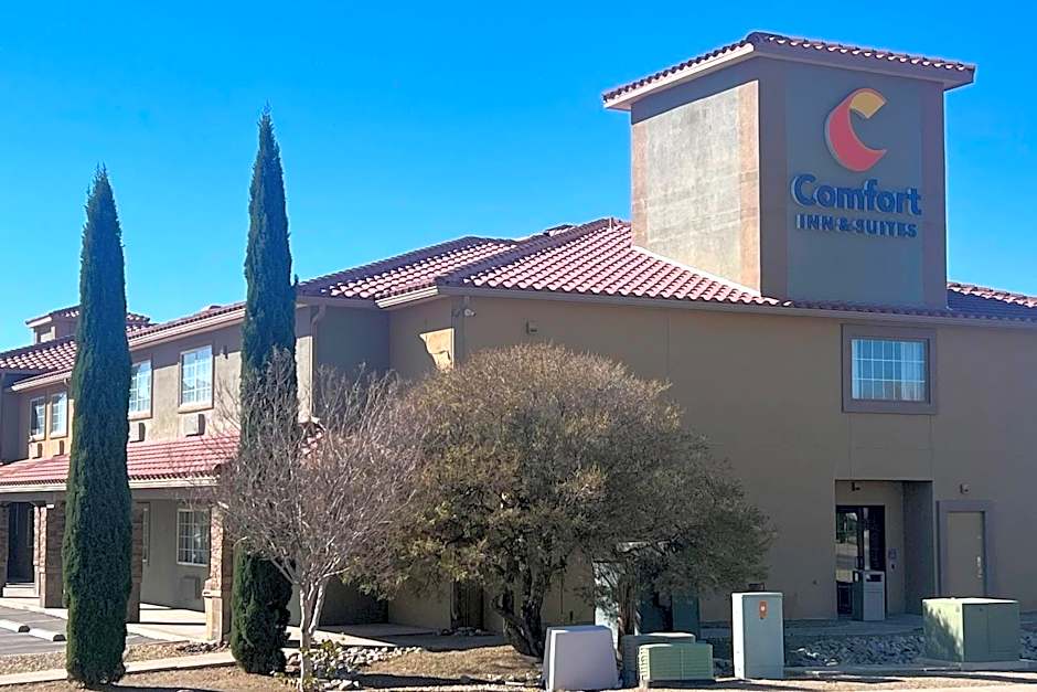 Comfort Inn & Suites Las Cruces Mesilla