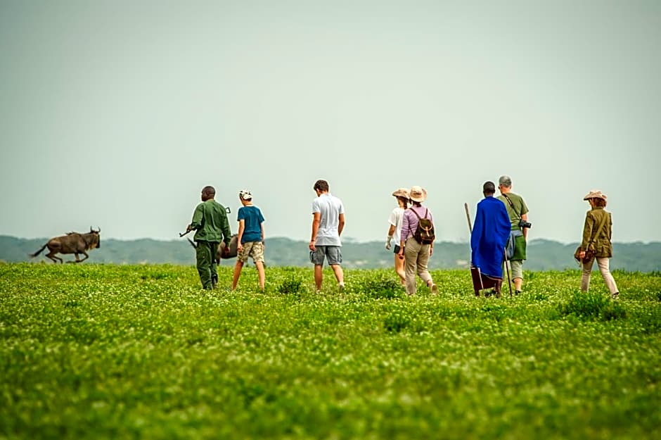Lake Ndutu Luxury Tented Lodge