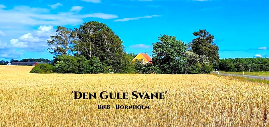 The FIG Studio - "Den Gule Svane" Guest House - near Rønne & Beach