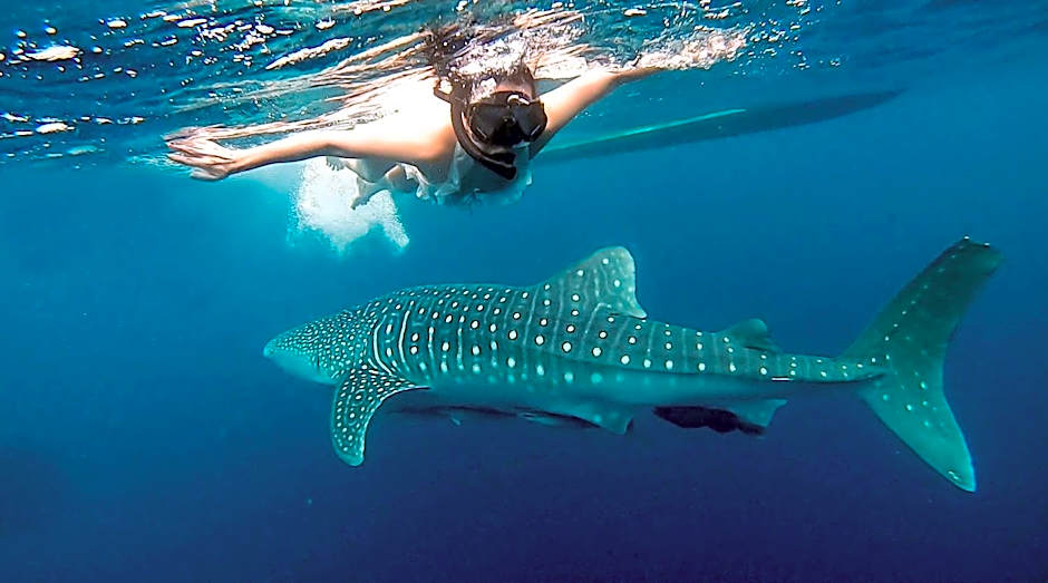 Arasatu Villas & Sanctuary