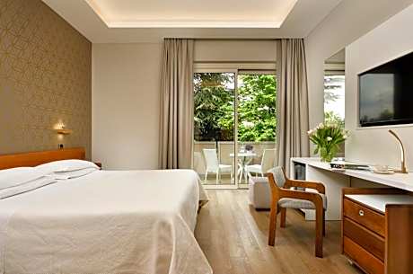 Standard Double Room with Internal View and Spa access