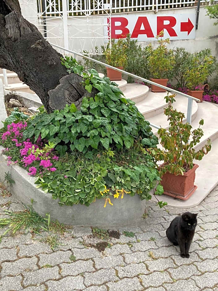 Albergo pensione Bianco