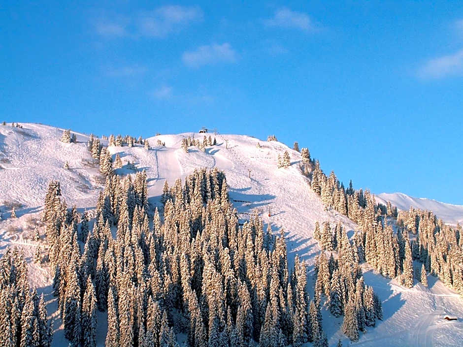 Boutiquehotel Hohes Licht