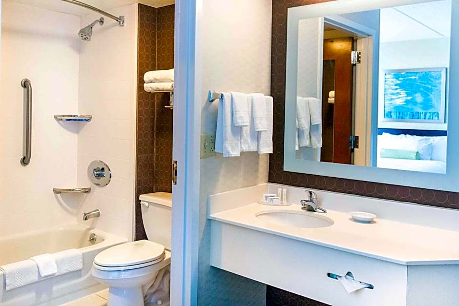 SpringHill Suites by Marriott Chicago Naperville/Warrenville