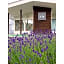 ＦＵＲＡＮＯ ＮＡＴＵＬＵＸ ＨＯＴＥＬ - Vacation STAY 68196v