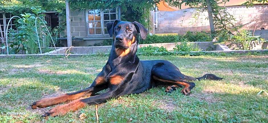 Logis Hôtel De France- Restaurant GRILL