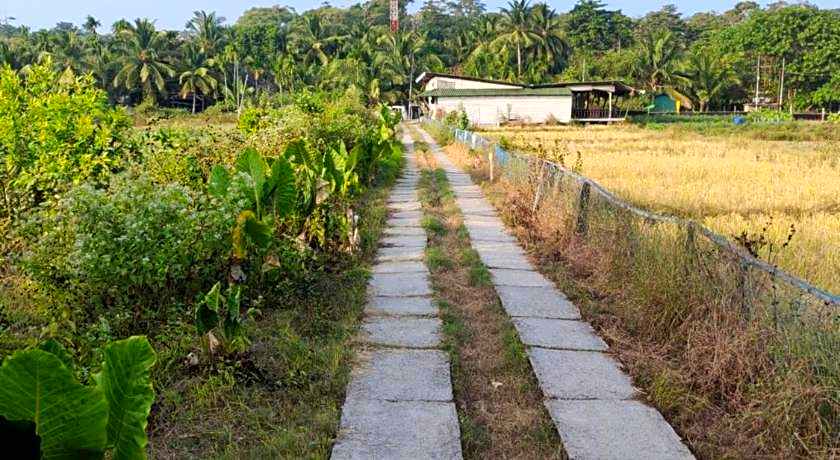 Emerald Gecko Resort-Neil Island