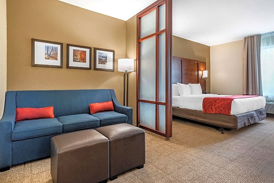 Comfort Suites Flowood - Jackson Airport (must meet transportation requirement)