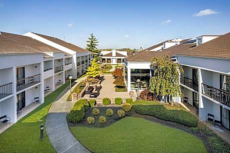 Suite, 1 Bedroom, Courtyard View (1 King Bed and 1 Double Sofa Bed)